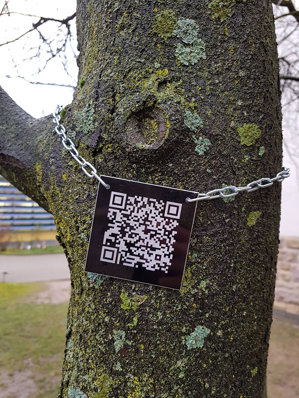An einem Baum hängt eine Tafel mit QR-Code